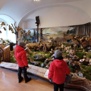 Vandrovka s deťmi: Poľovnícke múzeum v kaštieli vo Svätom Antone