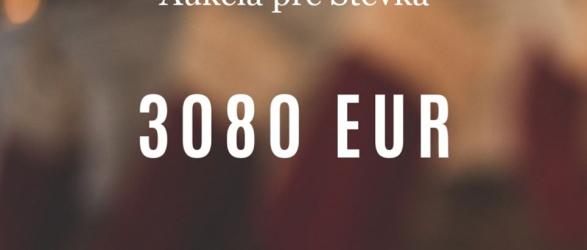 Pre Števka sme v aukcii vyzbierali 3080 Eur!