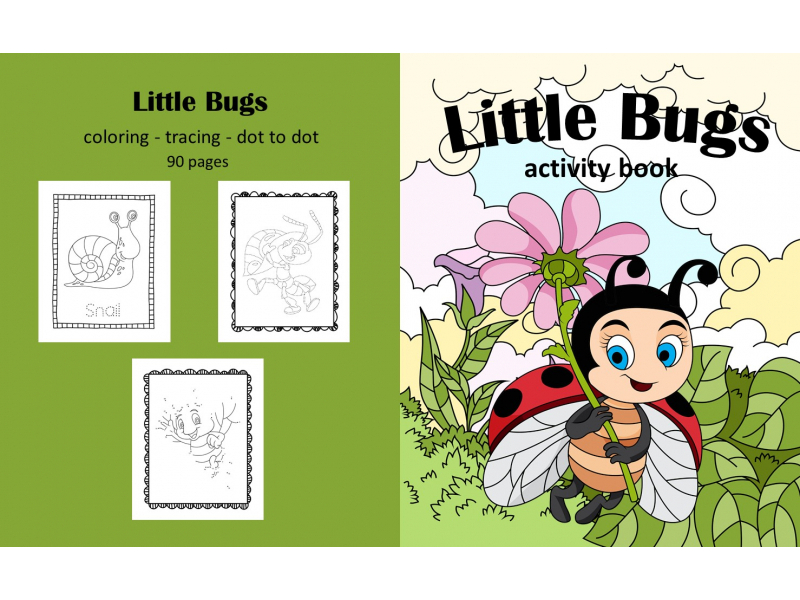 Little Bugs - activity book