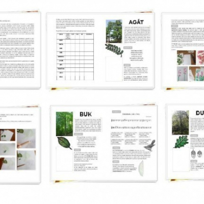 Listnaté stromy- pracovný zošit pre predškolákov (35 strán, A4) v PDF