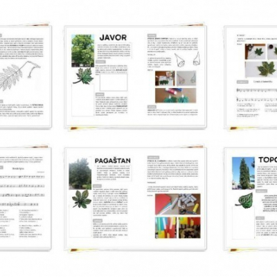Listnaté stromy- pracovný zošit pre predškolákov (35 strán, A4) v PDF