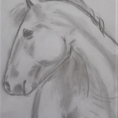 Obrázok Kôň