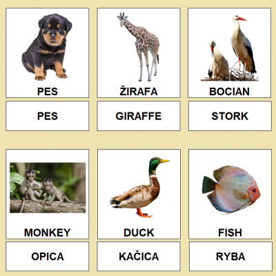 ANIMALS - pdf