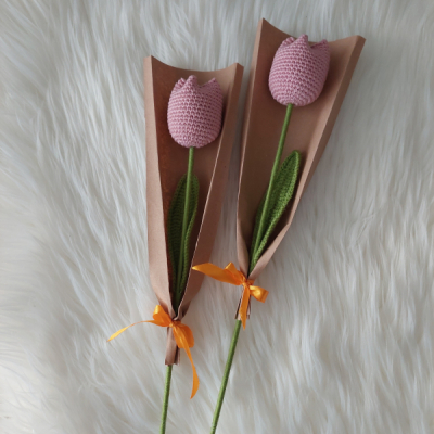 Tulipániky v balení