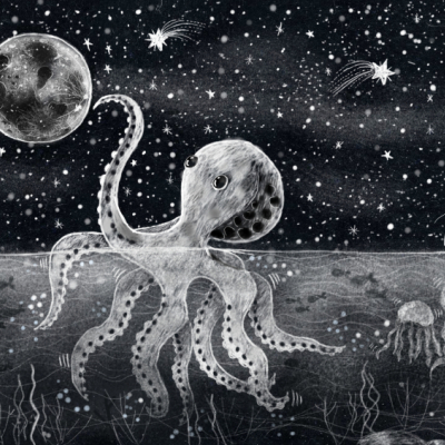 Little dreamer octopus 🐙