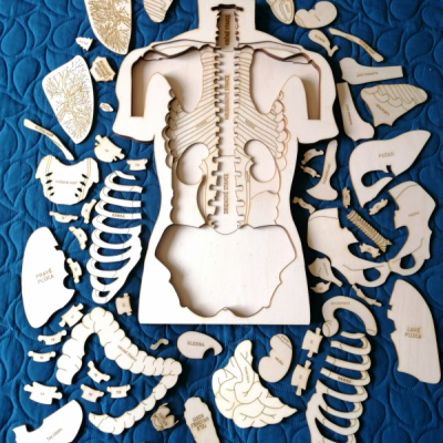 Veľké drevené puzzle - Ľudské telo