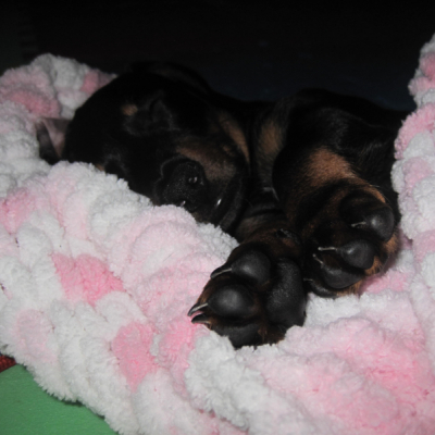 Ručne pletená Puffy deka plná lásky s rozmerom približne 100cm x 100cm